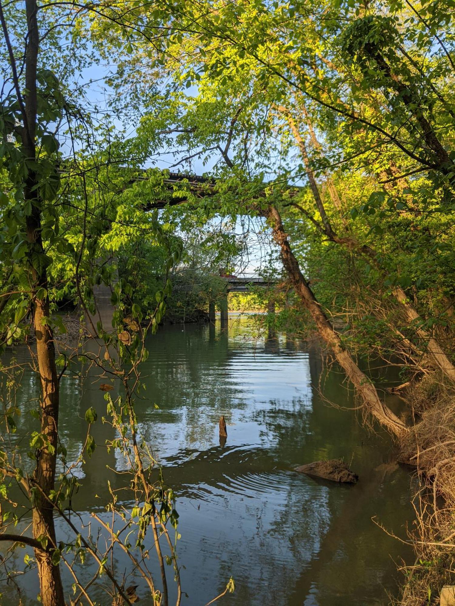 River Cabin Hot Tub & Swim Spa Near Downtown Chattanooga Exterior foto